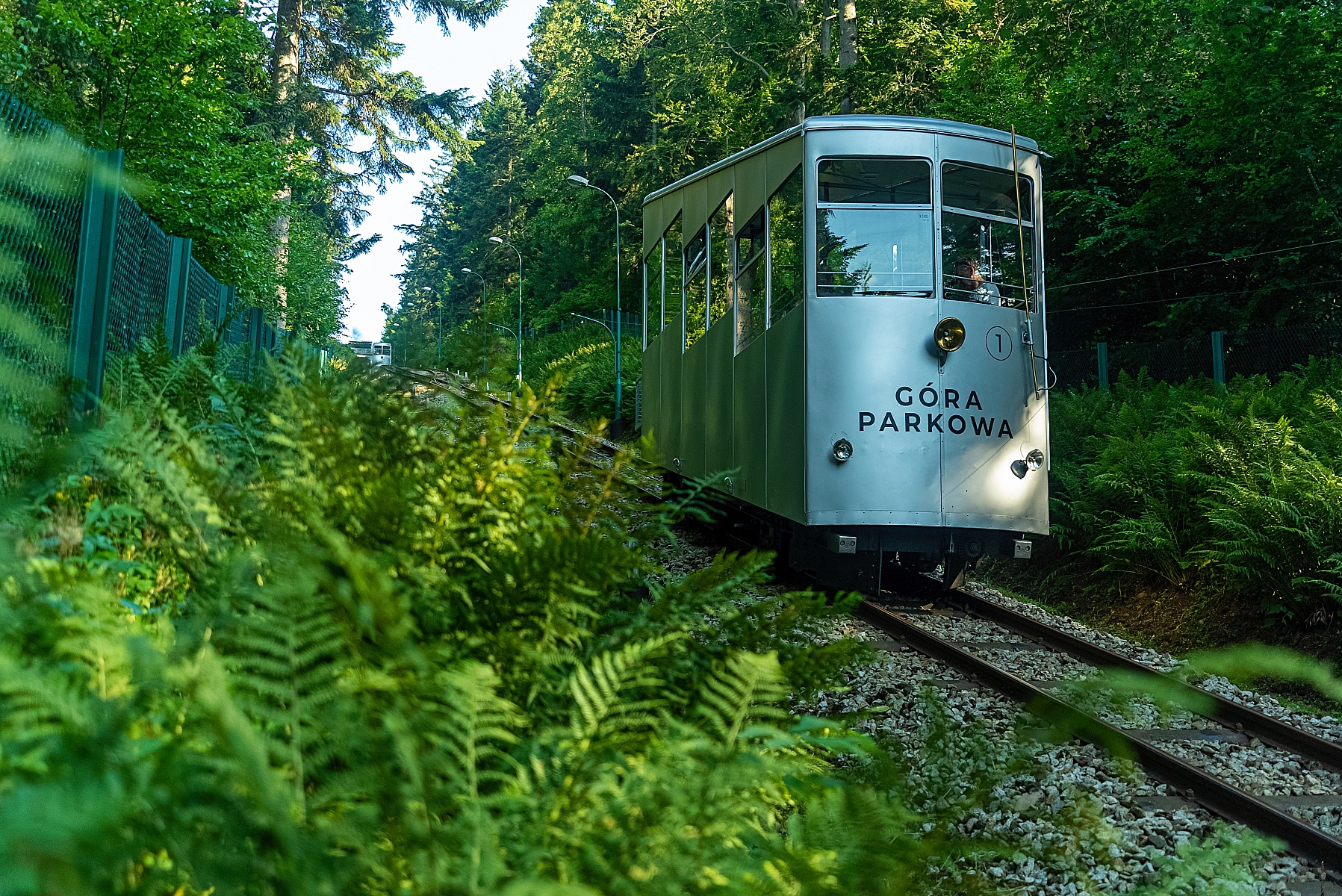 góra parkowa